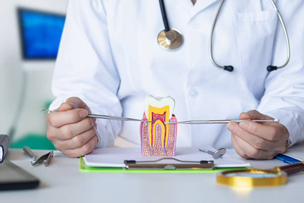 Best Emergency Dentist for Knocked-Out Tooth in Choudrant, LA